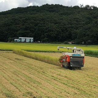 2020年9月 新米コシヒカリ 30kg お試し米付き 芳賀郡茂木産
