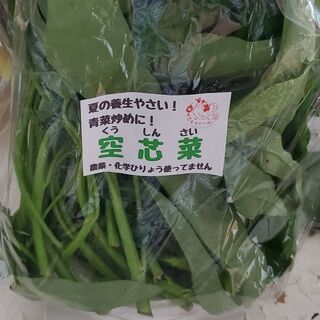 中古空芯菜が無料 格安で買える ジモティー 中古空芯菜が無料 格安で買える ジモティー