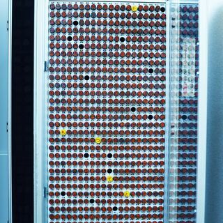 シャチハタ・黒壇の印鑑・印鑑のショーケースのセットを買い取ってくれる方募集しております シャチハタ・黒壇の印鑑・印鑑のショーケースのセットを買い取ってくれる方