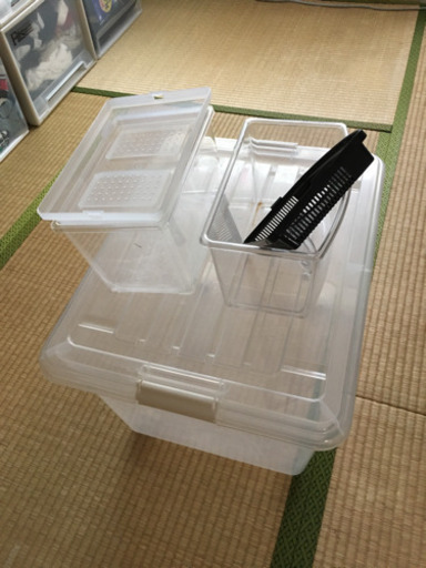 虫かごと衣装ケース持っていってくれる方に差し上げます ムツミ 円山公園の家具の中古あげます 譲ります ジモティーで不用品の処分