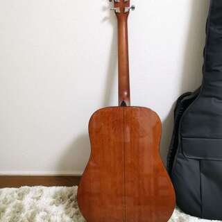 Morris(モーリス) / M-25 TS - アコーステックギター 美品