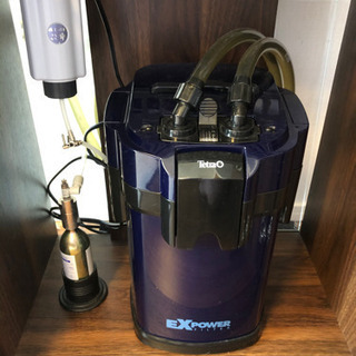 まもなく終了水槽セット