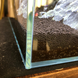 まもなく終了水槽セット