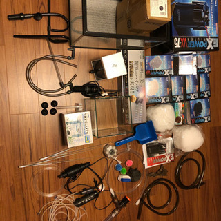 まもなく終了水槽セット