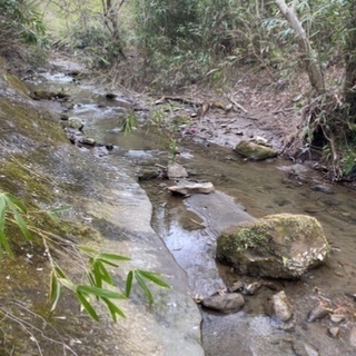 千葉県富津市の山林266坪 − 千葉県