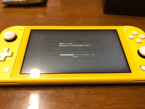 ニンテンドーSwitchライト