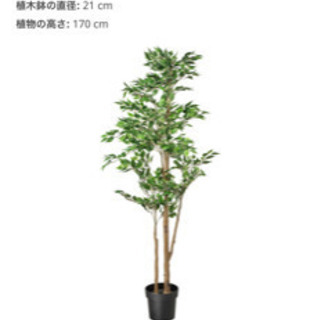 IKEA 大型　フェイクグリーン