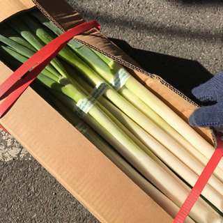 中国産野菜専門