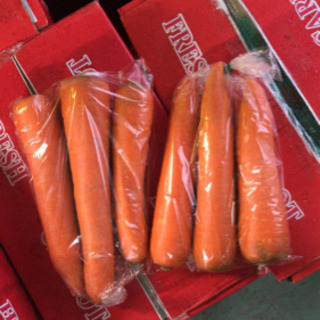 中国産野菜専門