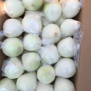 中国産野菜専門