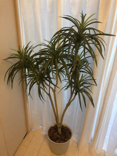フェイクグリーン本物そっくりインテリア造花観葉植物 Tsurukin 鶴見のその他の中古あげます 譲ります ジモティーで不用品の処分 フェイクグリーン本物そっくりインテリア造花観葉植物 Tsurukin 鶴見のその他の中古あげます 譲ります ジモティーで不用品の処分