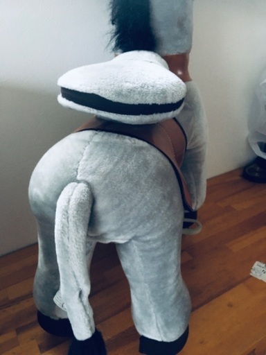 ラングス エコポニー 乗ると前に進みます