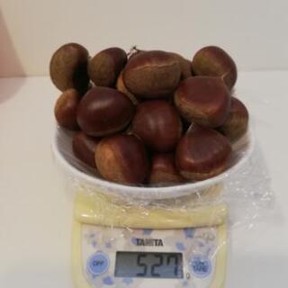 生栗　500g