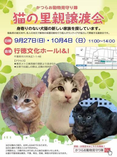 9 27 日 猫の里親譲渡会開催 市川市行徳 とんび 南行徳のその他のイベント参加者募集 無料掲載の掲示板 ジモティー 9 27 日 猫の里親譲渡会開催 市川市行徳 とんび 南行徳のその他のイベント参加者募集 無料掲載の掲示板 ジモティー