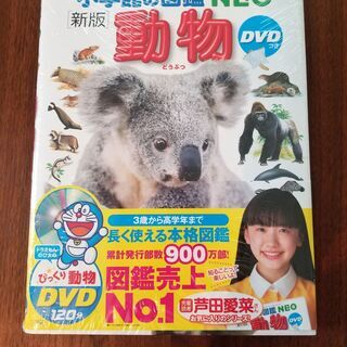 <完売>新品 小学館の図鑑NEO 動物 DVDなし オオクワガタ...