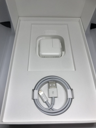 試用期間数日】iPad mini 5 (2019年発売)64GB Wi-fiモデル