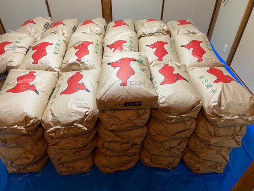 【黒酢米】千葉県野田市産コシヒカリ新米30kg 【参考動画あり】