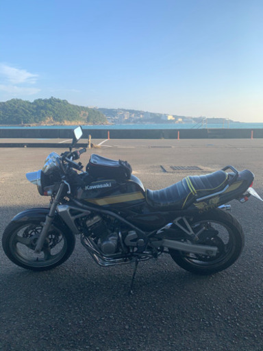 バリオス1型