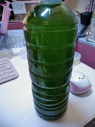 グリーンウォーター メダカの針子の飼育水用 濃縮500ml 5 Masamin 都島のその他の中古あげます 譲ります ジモティーで不用品の処分