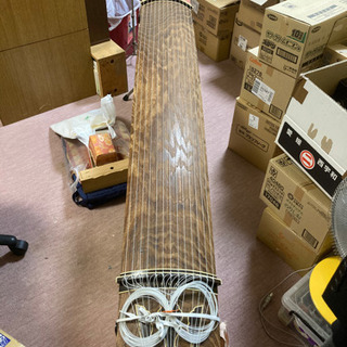 琴‼️ 和楽器