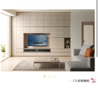 TVボード/壁面収納/パモウナ製