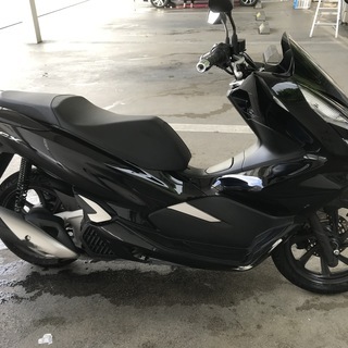 PCX125 2024 jf81 スマートキー 走行5357km 9.12にホンダドリームでメンテナンス済み