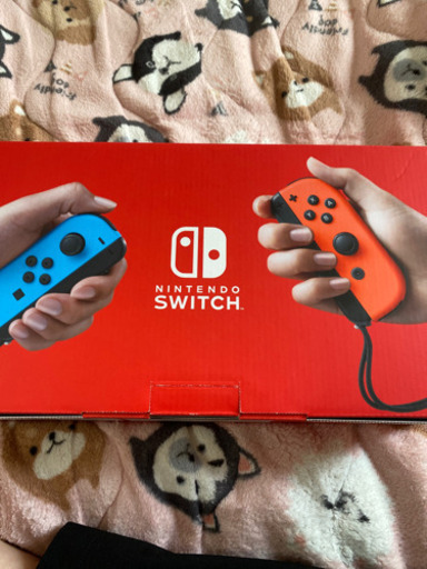 Switch ネオンカラー　お