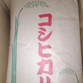 玄米15kg　埼玉県産　コシヒカリ玄米　令和4年度