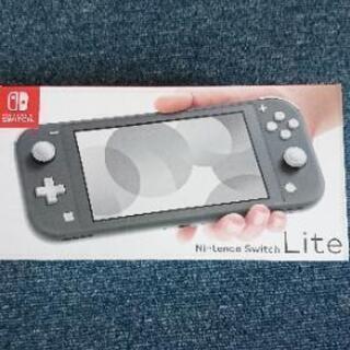Nintendo switch lite ニンテンドースイッチラ...