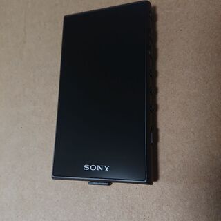 SONY ウォークマン NW-A107 64GB ブラック institutoloscher.net