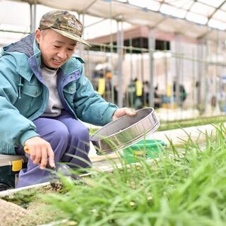 【若葉区/障がい者求人】しあわせな働き方を目指す。野菜づくりのお仕事を通して、働く「楽しさ」を見つける。 - 千葉市