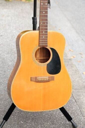 弦楽器、ギター ELITE TAKAMINE TW-30