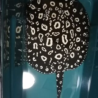 ASTRO ウヌ トレカ JOTM コンプ 2cut photo 7枚