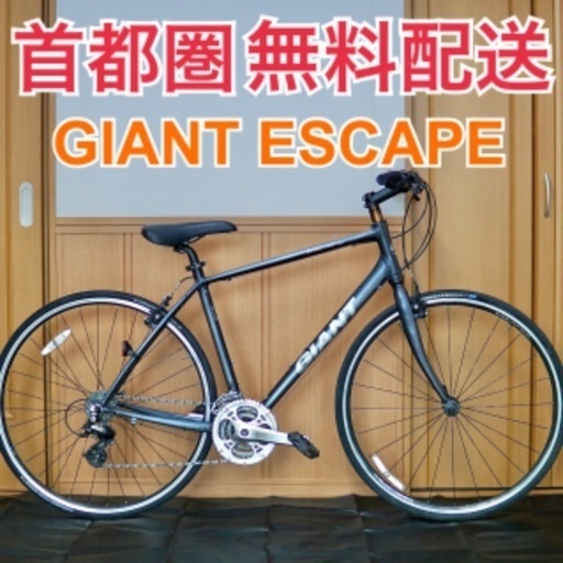 GINAT ESCAPE R3 500 M(170-185cm) グレー