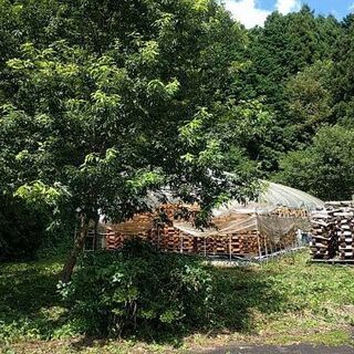 薪（コナラ）2020-2021シーズン用【20Km以内配達無料】