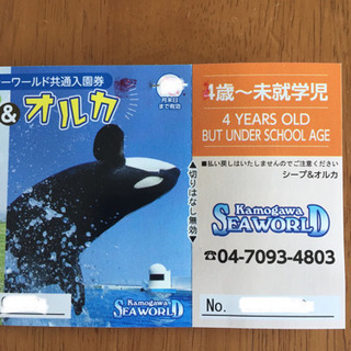 【即日対応】鴨川シーワールド チケット 子供 幼児 未就学児