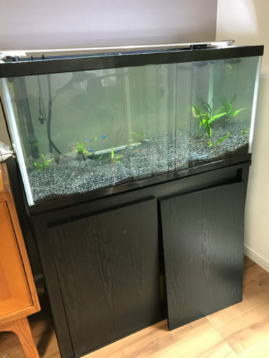 水槽　90センチ　アクアリウム