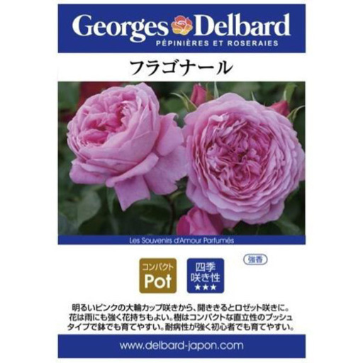 薔薇 フラゴナール Daiking 三河三谷のその他の中古あげます 譲ります ジモティーで不用品の処分 薔薇 フラゴナール Daiking 三河三谷のその他の中古あげます 譲ります ジモティーで不用品の処分
