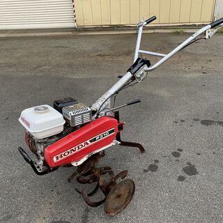 エル・グレコ、【聖イネスと聖テクラを供える聖処女】、希少豪華画集画