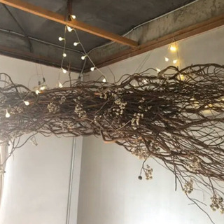 特大オーナメント・ドライフラワー【雲竜柳】【ナンキンハゼ】 特大オーナメント・ドライフラワー【雲竜柳】【ナンキンハゼ】