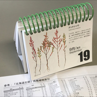 毎年カレンダー　北海道花暦