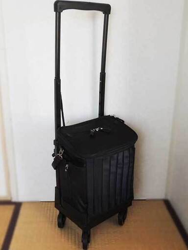 スワニー キャリーバッグ 定価2万円↑ 支えるバッグ 新品同様 黒 歩行 ...
