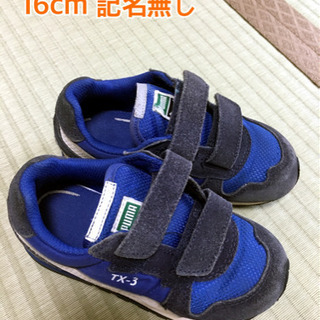 asics✩.*˚アシックス スニーカー 16cm