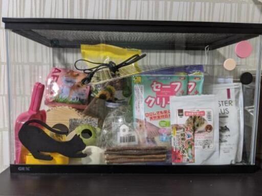 ハムスター飼育セット