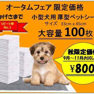 小型犬用ペットシーツ100枚入り　秋限定お試し価格　9月～11月中のみ