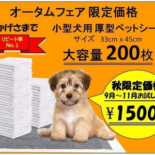 小型犬用ペットシーツ200枚入り　秋限定お試し価格　9月～11月中のみ
