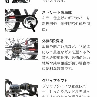 ロードバイク 子供用自転車　あさひ　ドライドビート20インチ