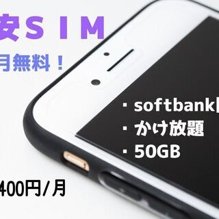 50ギガ&かけ放題で4400円格安SIM🍎【熊谷市】