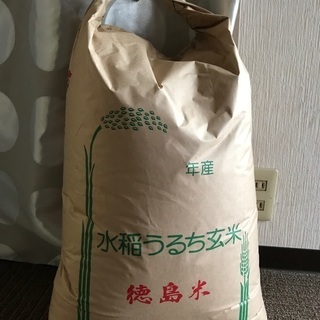 令和元年　古米(玄米)30キロ　徳島産