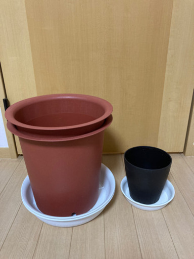 あげます植木鉢プラスチック製10号x2 とおまけ植木鉢 やっひ 天王台の家電の中古あげます 譲ります ジモティーで不用品の処分 あげます植木鉢プラスチック製10号x2 とおまけ植木鉢 やっひ 天王台の家電の中古あげます 譲ります ジモティーで不用品の処分